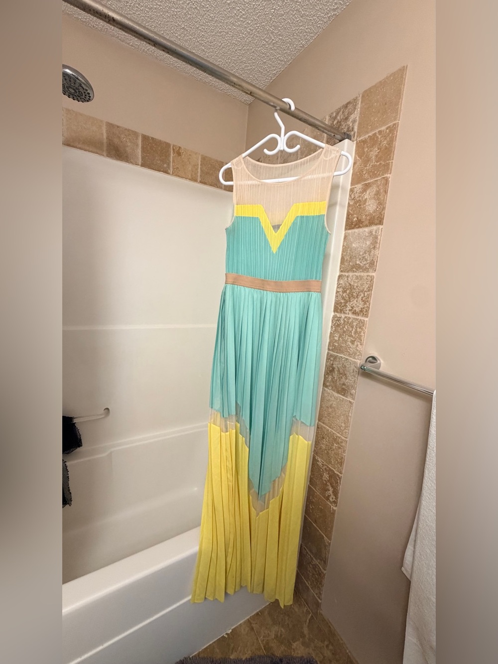 BCBG Max Azria Kathrine Pleated Color-Blocked Long Dress Size 10